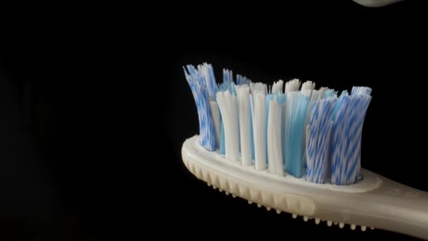 Απλώνω Οδοντόκρεμα Στην Οδοντόβουρτσα Μακροσχέδιο Μαύρο Κλειδί Μαύρο Φόντο — Αρχείο Βίντεο