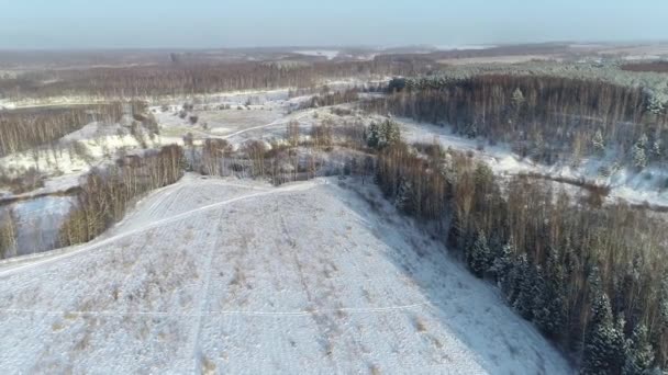 在雪地里的森林 在冰冻的树木和田野上飞翔 — 图库视频影像