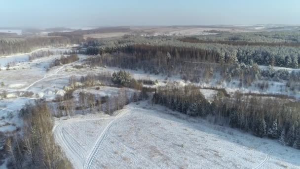 Wald Schnee Fliegt Über Gefrorene Bäume Und Felder — Stockvideo