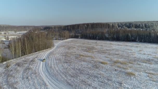 Skog Snön Flyger Över Frusna Träd Och Fält — Stockvideo