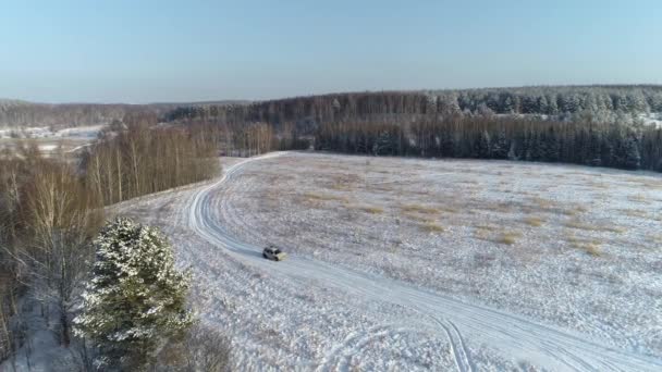 Forêt Dans Neige Survolant Des Arbres Des Champs Gelés — Video