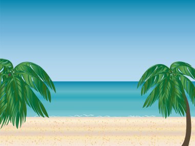 Palm beach ufuk