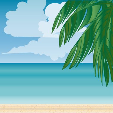 Palm beach ufuk turizm yolculuk deniz.