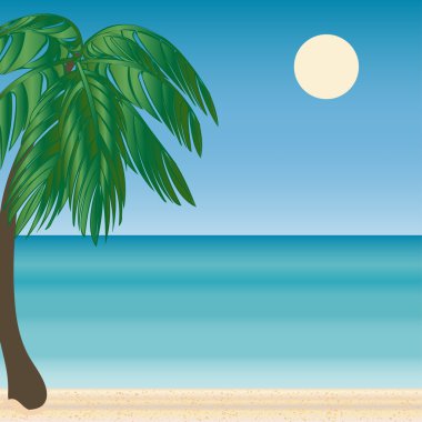 Palm beach ufuk turizm yolculuk deniz