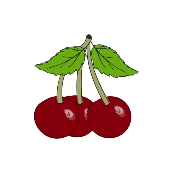Hand dras cherry berry närbild. — Stock vektor