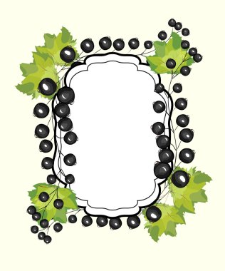 Etiket kuş üzümü vektör el çekilmiş.