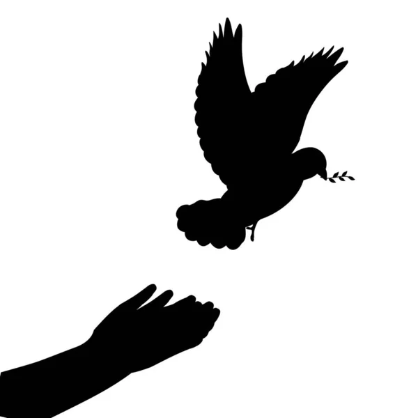 Silhouette hands releasing dove. Symbol of peace and freedom — 스톡 벡터