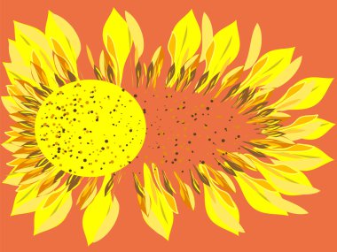 Parlak ayçiçeği çiçek scatter 