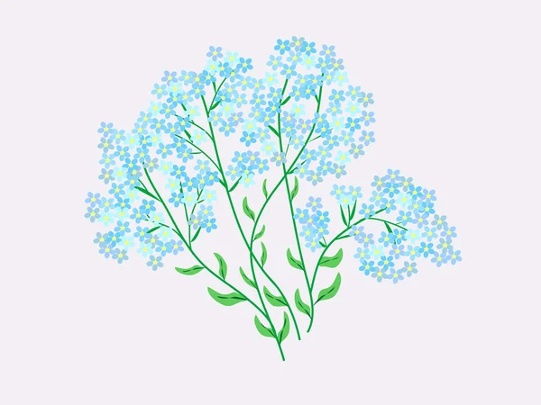 Blue wildflowers flowers forget-me-nots — Stock Vector