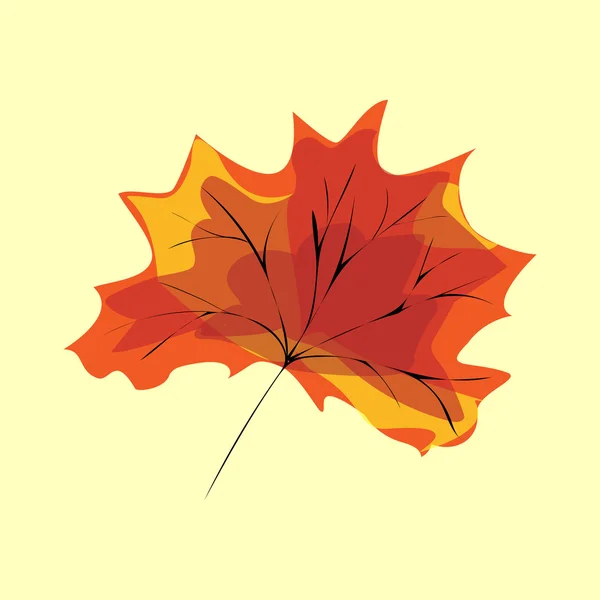 Red maple leaf — Stock Vector