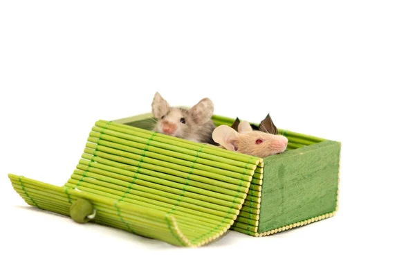 Trzy myszy ozdobny — Zdjęcie stockowe