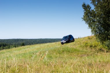 Cipin tepelerde rides