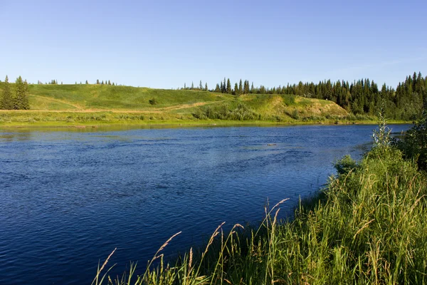 Summer landscape with river and forest — Stock Photo, Image