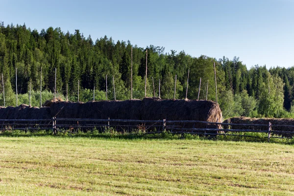 Rural landscape with haystacks — Stock Photo, Image