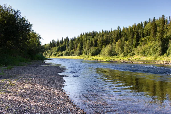 Paisaje de verano con río y bosque —  Fotos de Stock