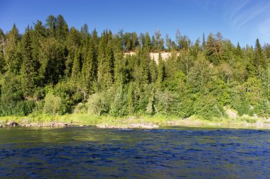 Nehir ve ormanlı yaz manzarası