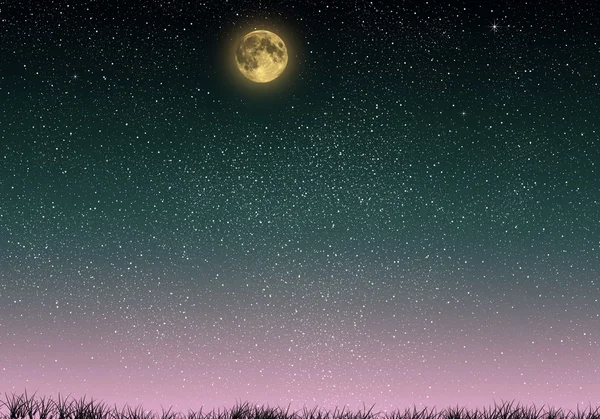 Bellissimo cielo notturno blu magico con erba e luna piena e stelle primo piano — Foto Stock