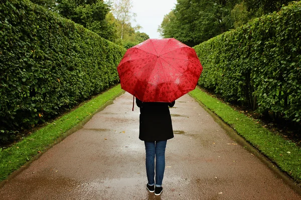Ung flicka promenader längs de gröna gränderna från buskarna i regnet med ett rött paraply — Stockfoto