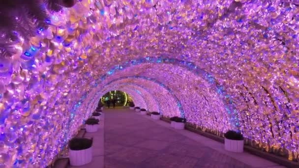 Túnel Rosa Mágico Cintilante Tverskoy Boulevard Moscou Rússia — Vídeo de Stock