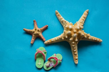 İki deniz kabuklarını ve mavi zemin üzerine step-ins