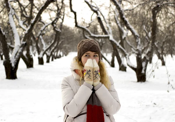 年轻漂亮的女孩附近起在冬季公园喜欢雪 — 图库照片