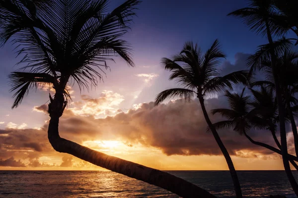Рассвет или закат на пляже Палм-Бич — стоковое фото
