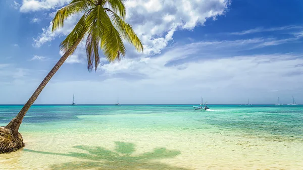 Palmový strom a lodí na tropické pláži — Stock fotografie