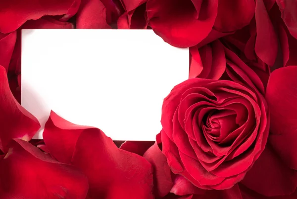 Piros rózsaszirom kártyával — Stock Fotó