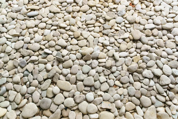 Fondo de piedras marinas — Foto de Stock