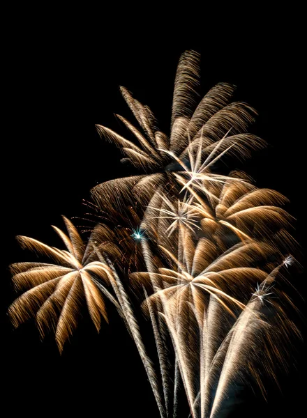 Single Golden Fireworks — Stock Photo, Image