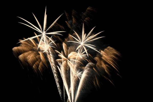 Explosion de feux d'artifice dorés — Photo