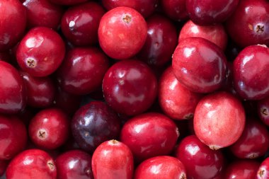 Kızılcık üstten görünüm arka plan