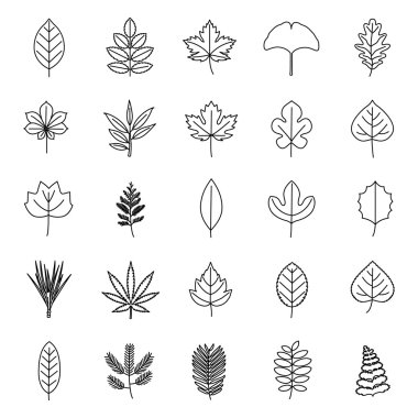 Leaves of plants or trees outlines vector icons clipart
