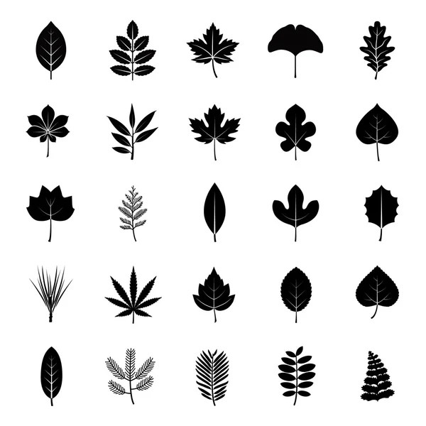 Hojas de plantas o árboles íconos vectoriales glifo — Vector de stock