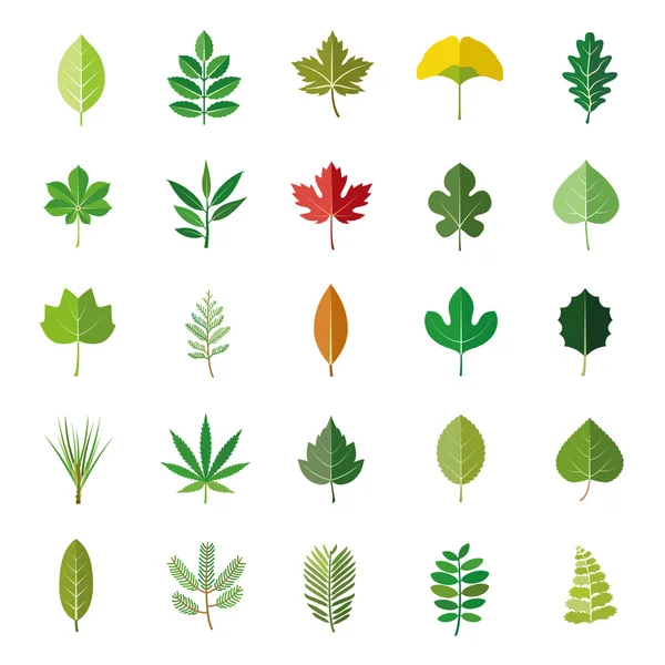 Hojas de plantas o árboles iconos vectoriales de color — Vector de stock