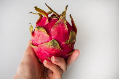 Gri dokulu arka plan üzerinde izole egzotik dragon meyve tutan kadının el. Parlak kırmızı mor Menekşe ciltlerinin meyve derili.