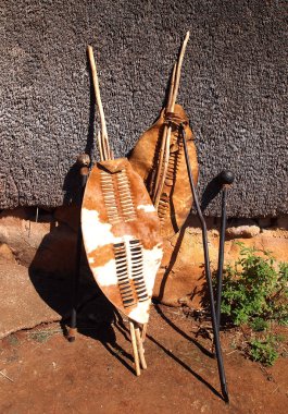 Yakın çekim Güney Afrikalı Zulu spears, savaşçı kalkanlar ve assegai.