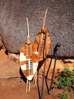 Yakın çekim Güney Afrikalı Zulu spears, savaşçı kalkanlar ve assegai.