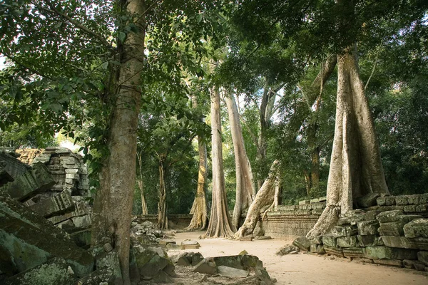 400 anos de guarda Angkor — Fotografia de Stock