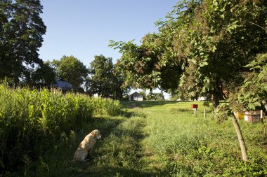 Kendi topraklarında atlayarak sabah.
