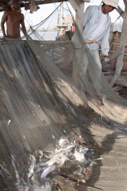 Balıkçılar ağ yetiştirme ve sakolko balık yakaladı kontrol edin