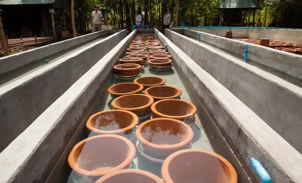 Ollas después de recocido fue sumergido en agua fría — Foto de Stock