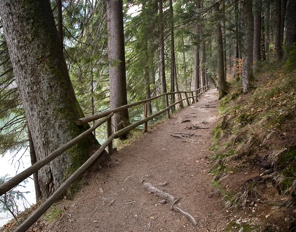 El sendero en el lago Synevir . — Foto de Stock