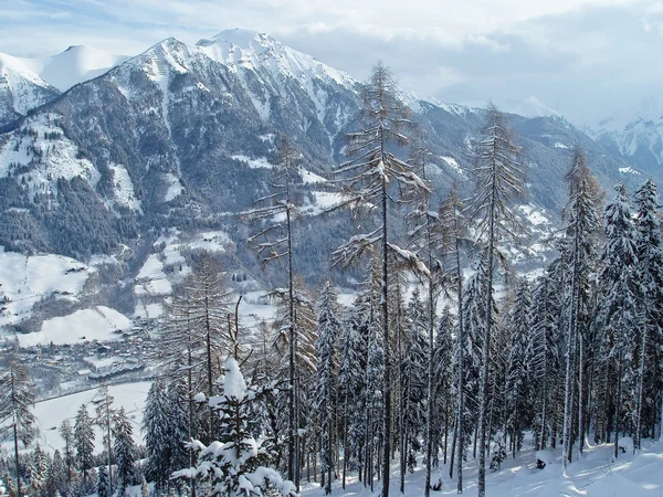 Avusturya Alplerinde karda — Stok fotoğraf