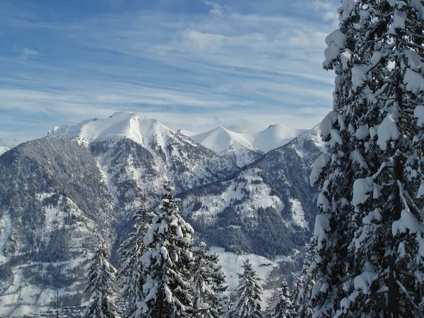 Alps karlı zirveleri.