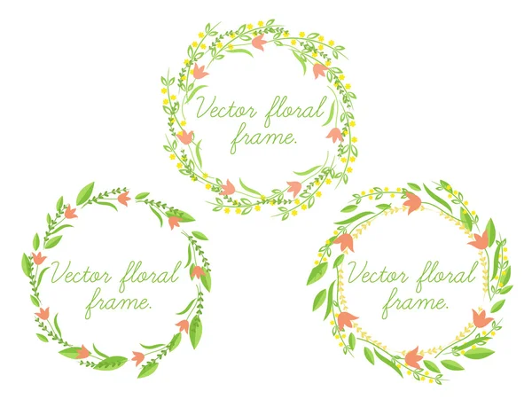 Ensemble de cadre floral vectoriel . — Image vectorielle
