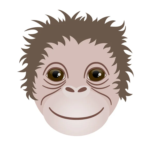Symbolem 2016. Głowy małpy. — Wektor stockowy