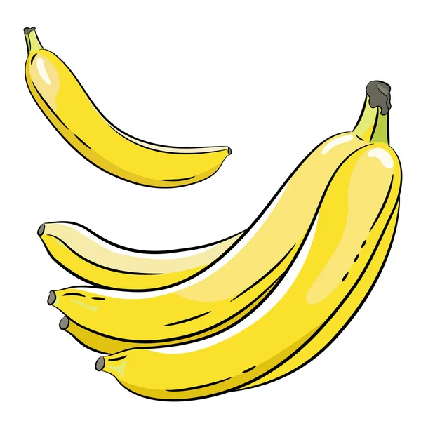 Um bando de bananas e uma banana . —  Vetores de Stock