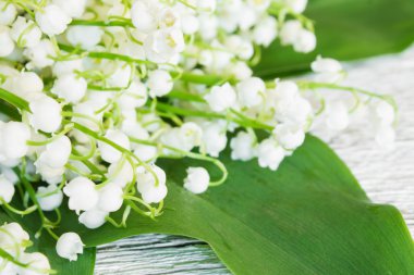 narin çiçeği lily vadi closeup arka plan.