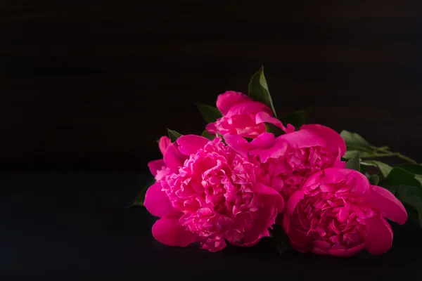karanlık bir arka plan bulanık üzerinde pembe peonies buket